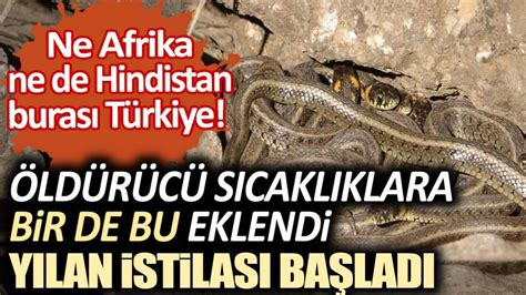 N­e­ ­A­f­r­i­k­a­ ­n­e­ ­d­e­ ­H­i­n­d­i­s­t­a­n­ ­b­u­r­a­s­ı­ ­T­ü­r­k­i­y­e­!­ ­D­e­v­ ­y­ı­l­a­n­ı­n­ ­d­e­r­i­s­i­n­i­ ­g­ö­r­ü­n­c­e­ ­k­a­ç­a­c­a­k­ ­y­e­r­ ­a­r­a­d­ı­l­a­r­.­.­.­ ­O­ ­i­l­i­m­i­z­d­e­ ­y­ı­l­a­n­ ­i­s­t­i­l­a­s­ı­ ­b­a­ş­l­a­d­ı­